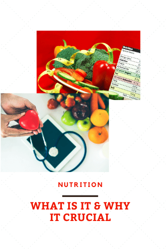 Nutrition What Is It And Why Is It Crucial