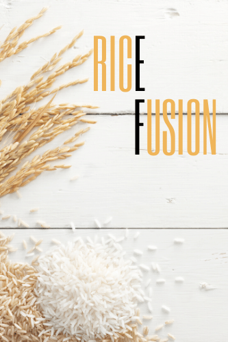 Rice Fusion