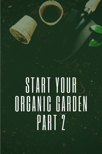 Start Your Own Organic Garden Second Part