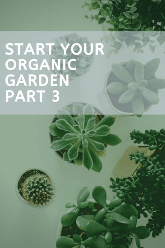 Start Your Own Organic Garden Third Part